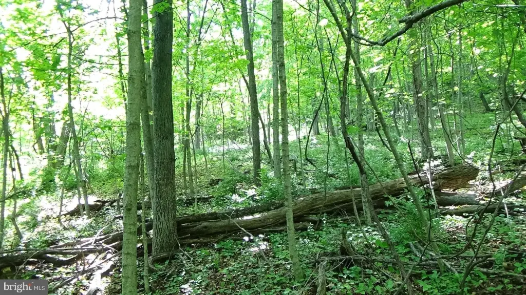 Picture 9