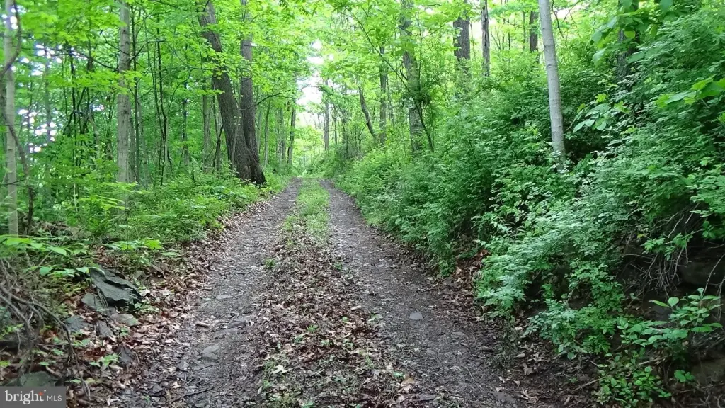 Picture 15