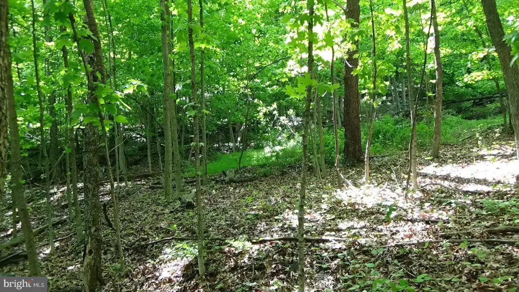 Picture 5