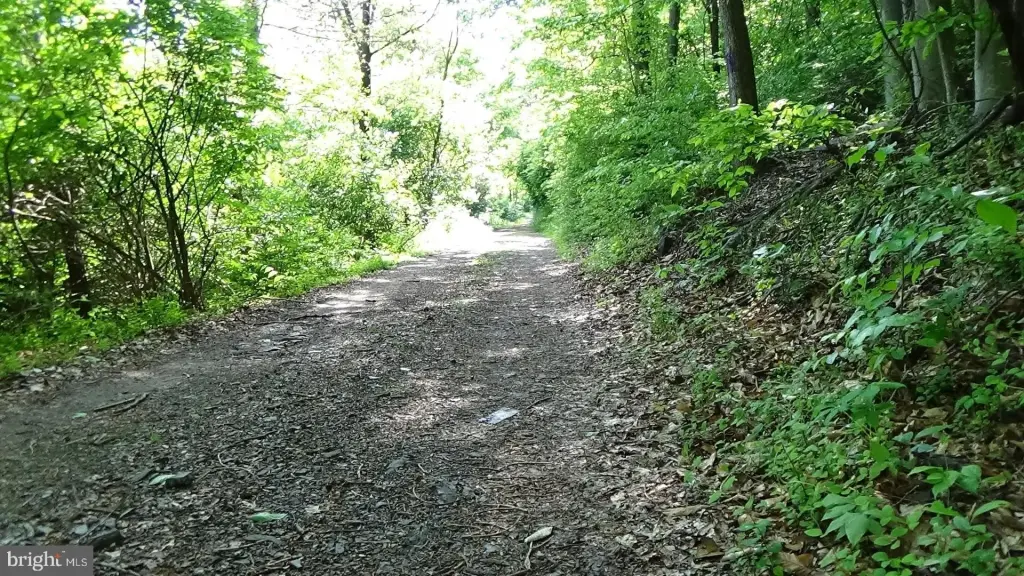 Picture 16