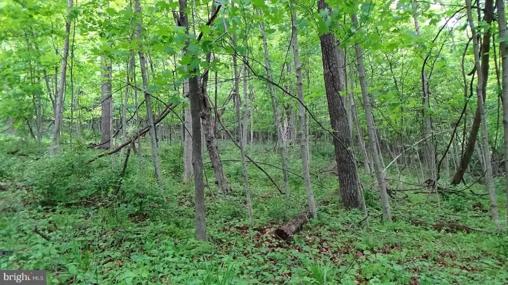 Picture 14