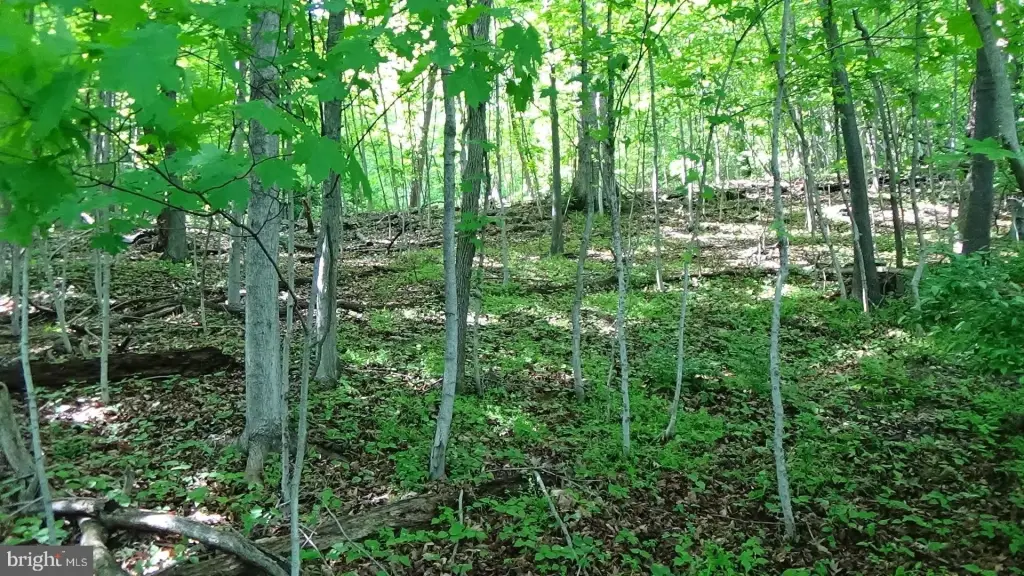 Picture 3