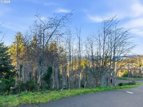 Ocean-View Lot in Yachats