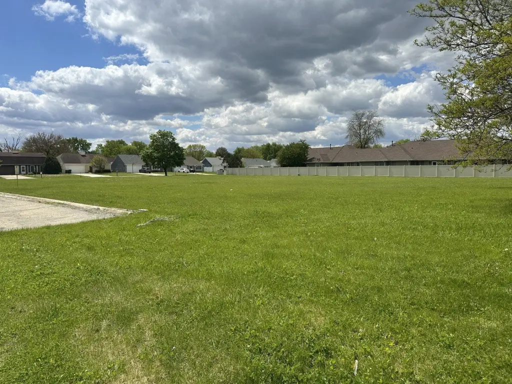 Picture 8