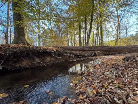 Daviston Acreage with Flowing Creek