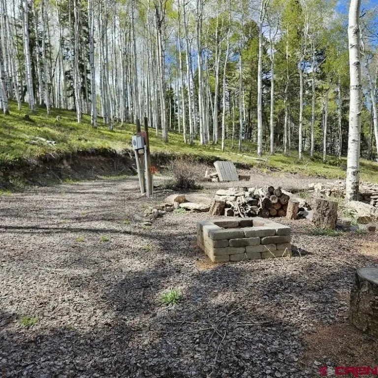 Picture 14