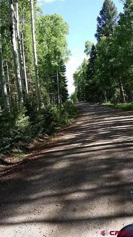 Picture 7