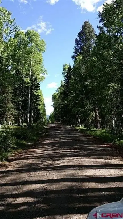 Picture 8