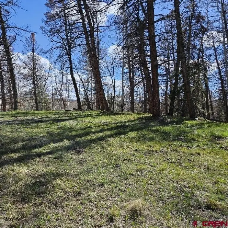 Picture 10