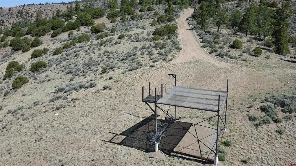 Picture 7