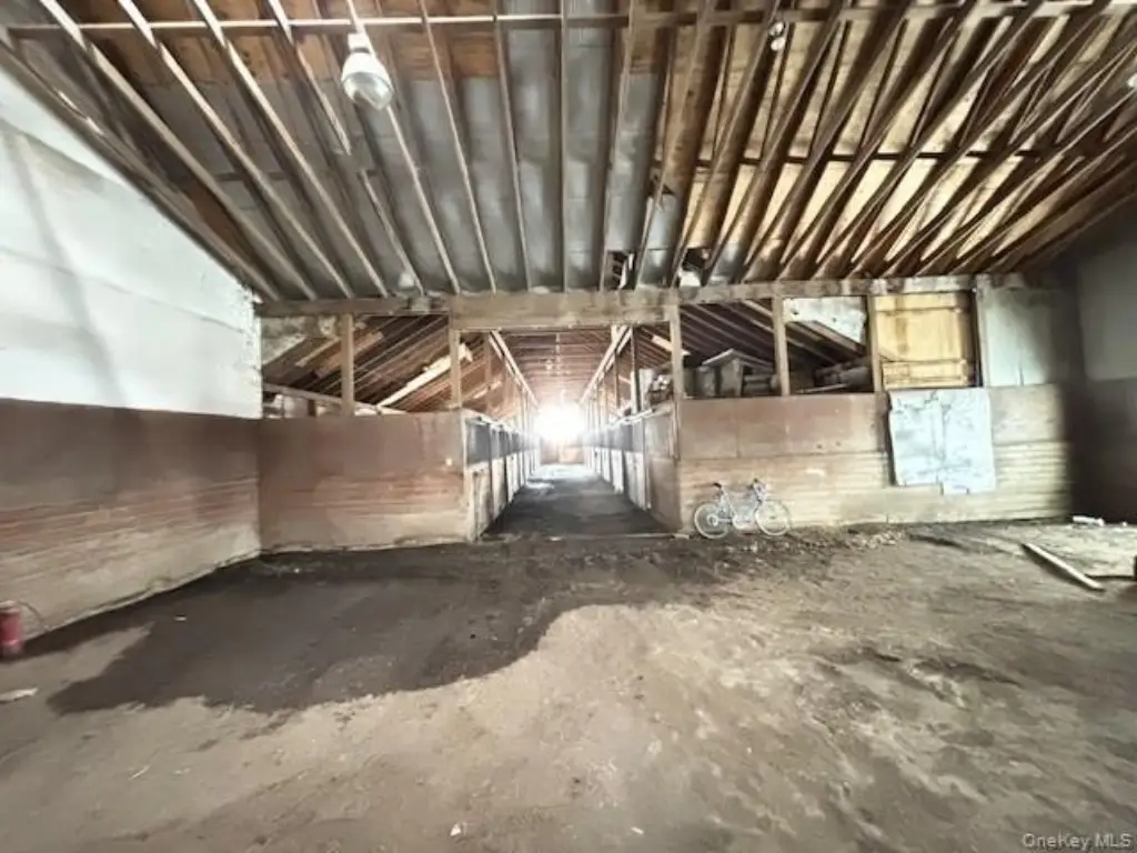 Picture 31
