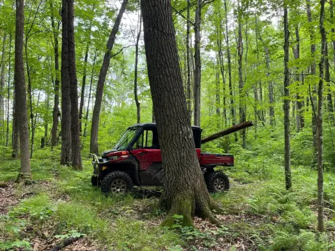 Meadowbrook Farm/Estate with Timber Value