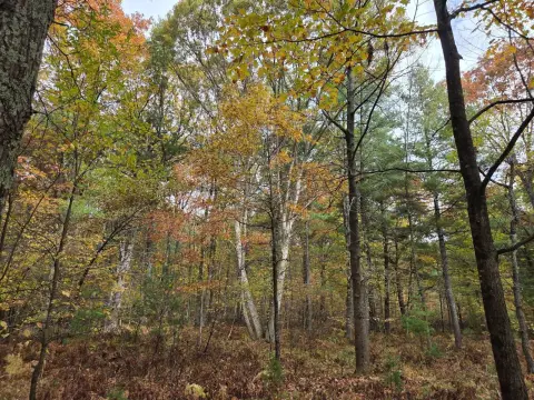 Buildable Land with Hilltop Views