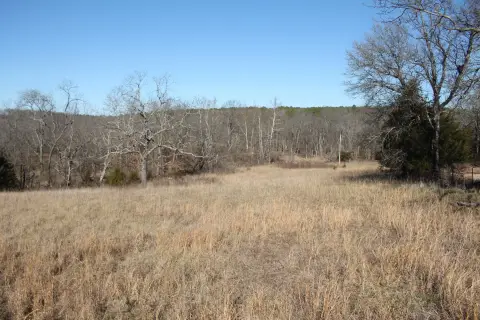 Pasture Land with Pond in Bucyrus