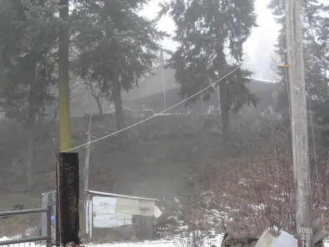 24.67 Acres Timbered Land