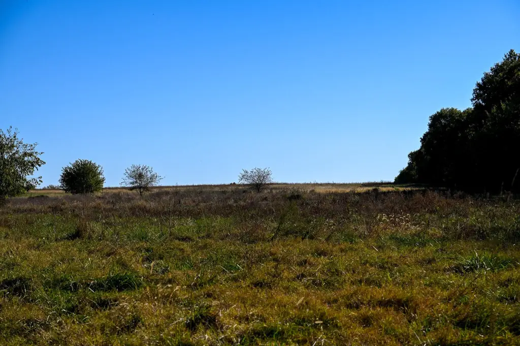 Picture 43