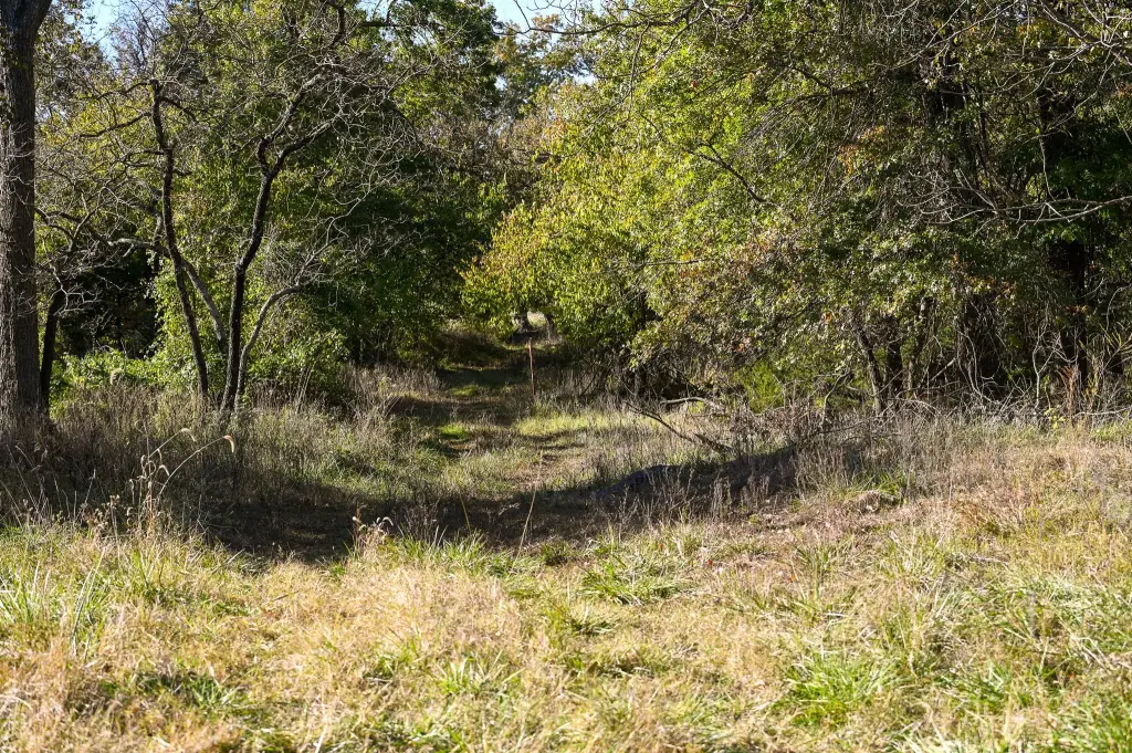 Picture 38
