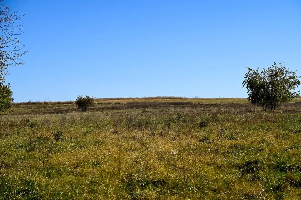 Picture 44