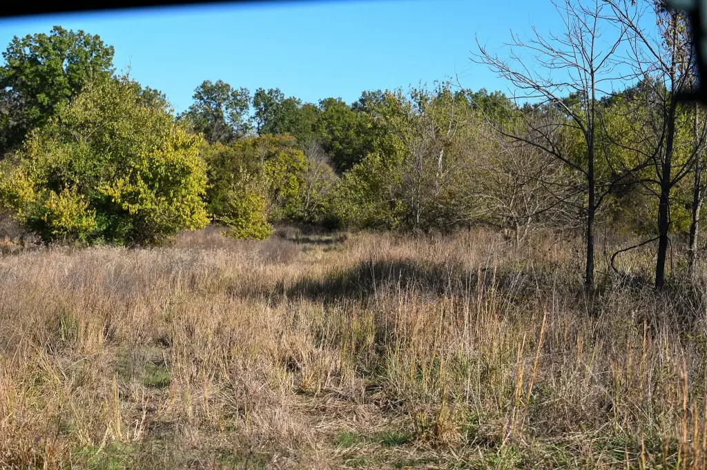 Picture 31