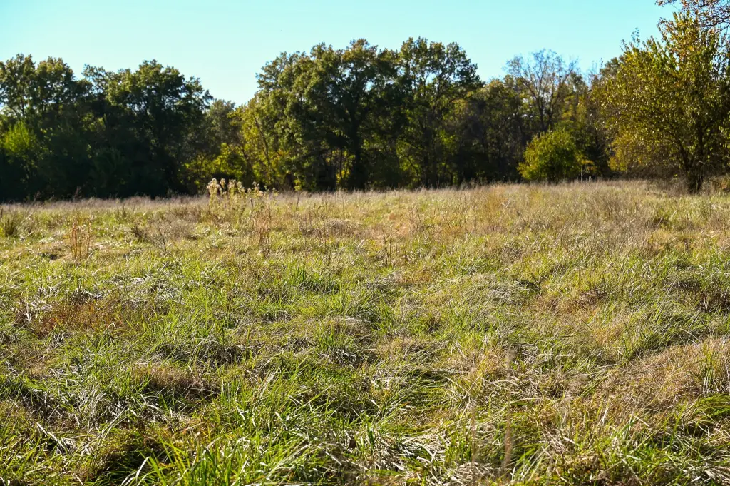 Picture 40