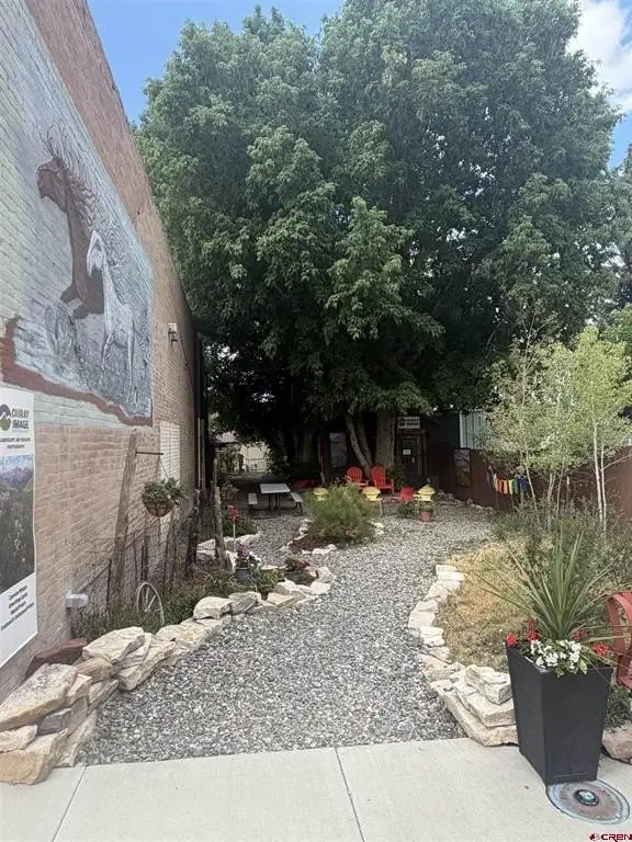 Picture 5