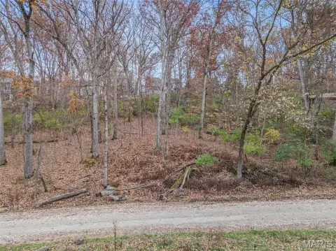 Residential Land in Ballwin, MO