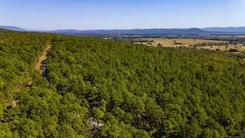 Scenic Land Near Sardis Lake