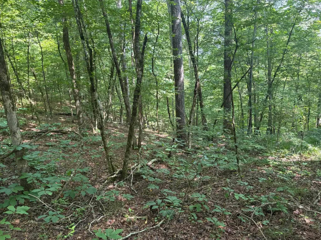 Picture 16