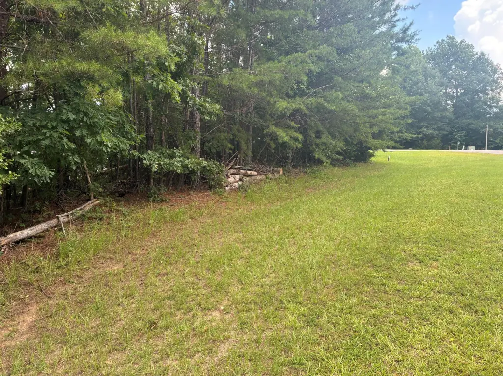 Picture 13
