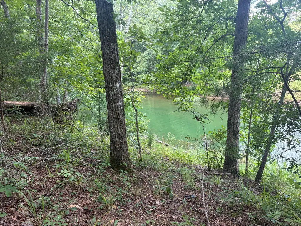 Picture 5
