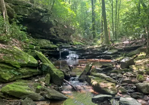 Waterfront Land Tract with Creek Frontage