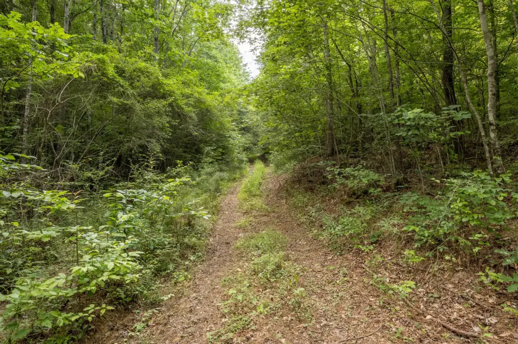 Picture 30