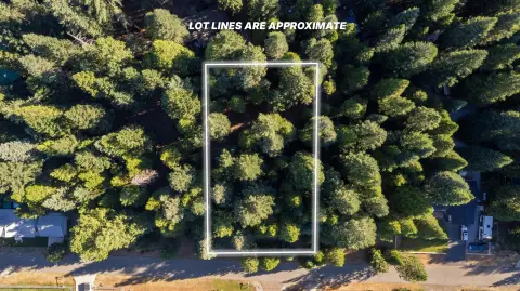 Wooded Residential Land Lot