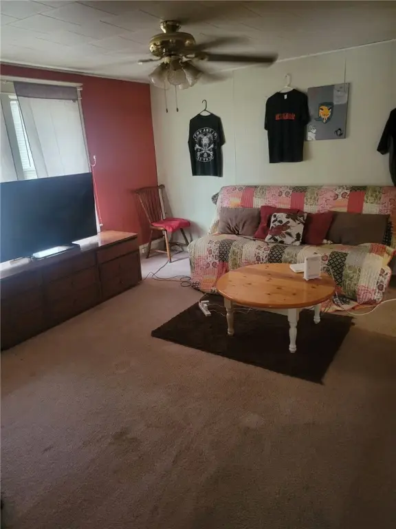 Picture 3