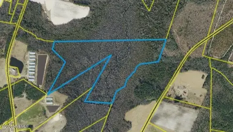 Recreational Hunting Land Tract
