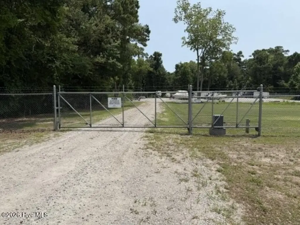 Picture 5