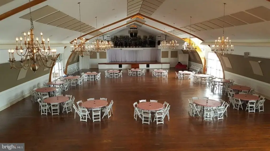 Picture 16