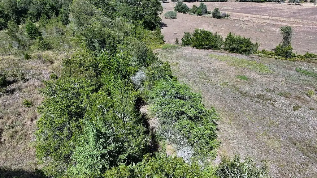 Picture 11