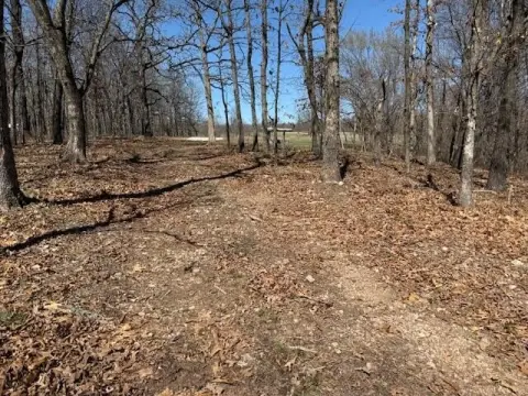 Wooded Land in Woodland Ridge