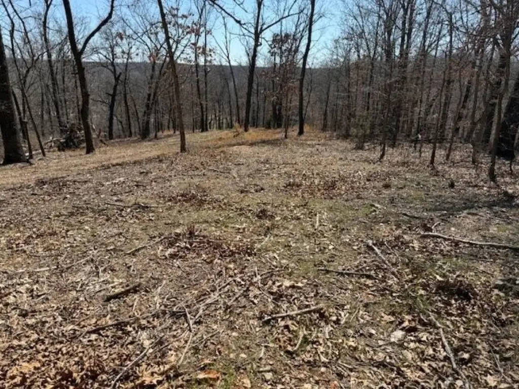Picture 6