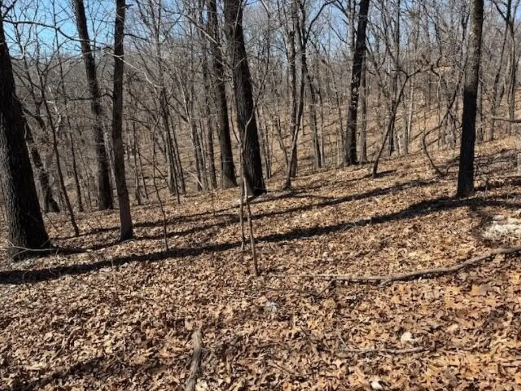 Picture 13