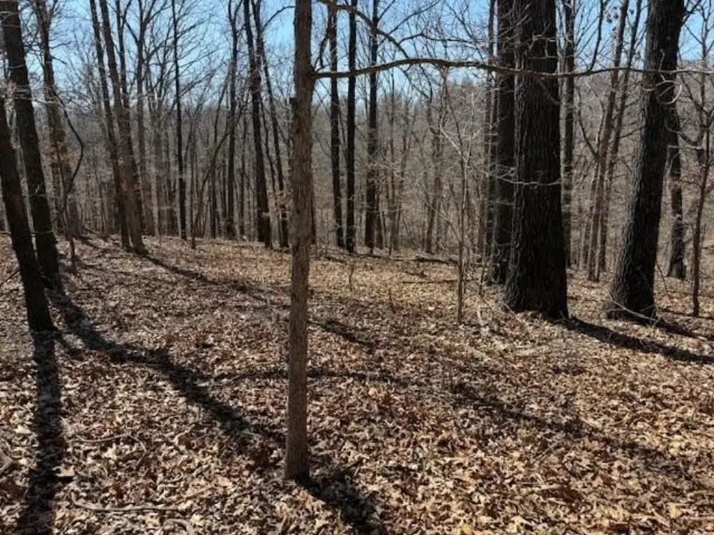 Picture 11