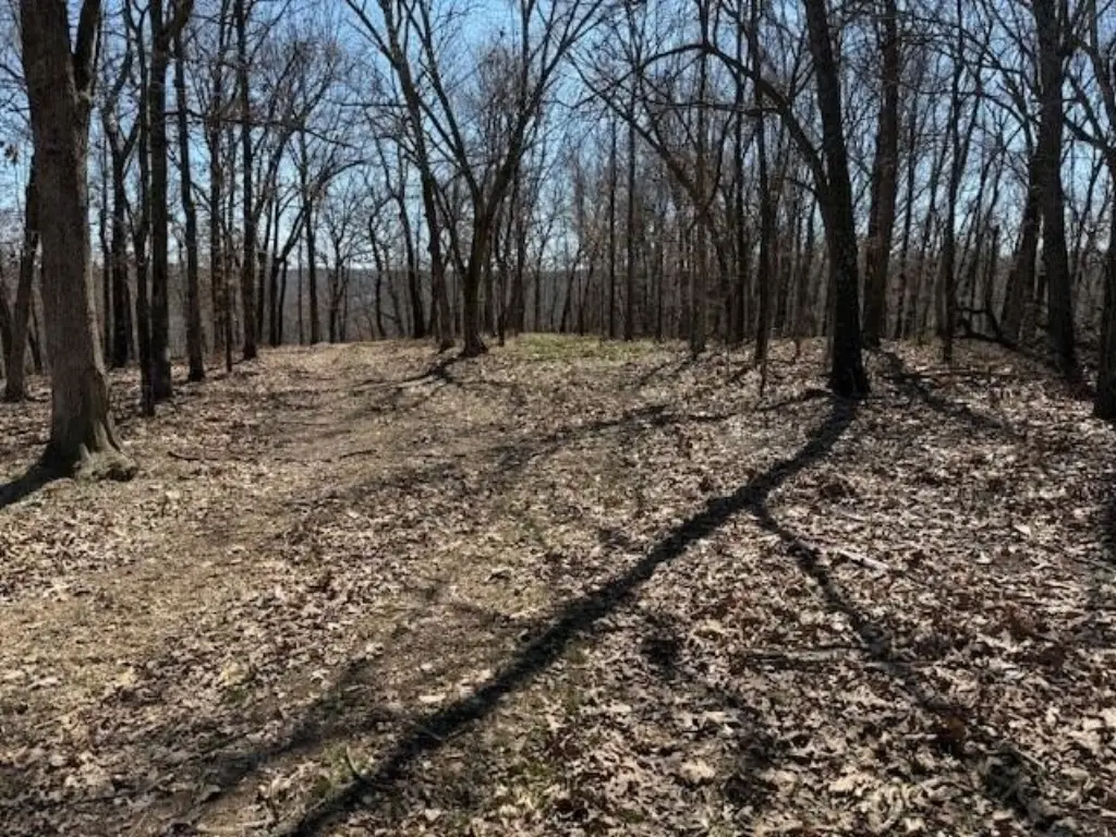 Picture 8
