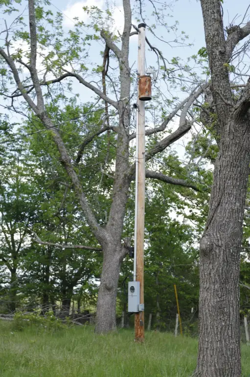 Picture 12