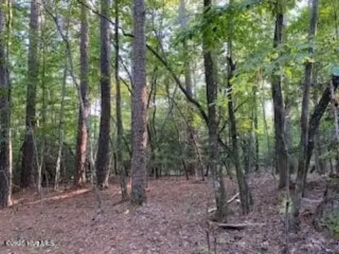 Land in Gated Equestrian Community