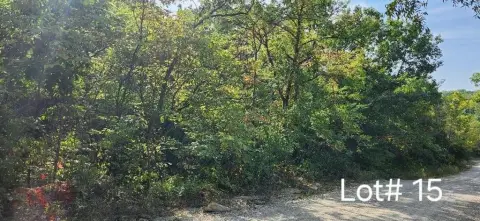 Wooded Lot Near Tanglewood Lake