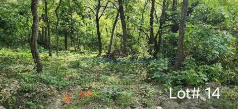 Residential Land Near Tanglewood Lake