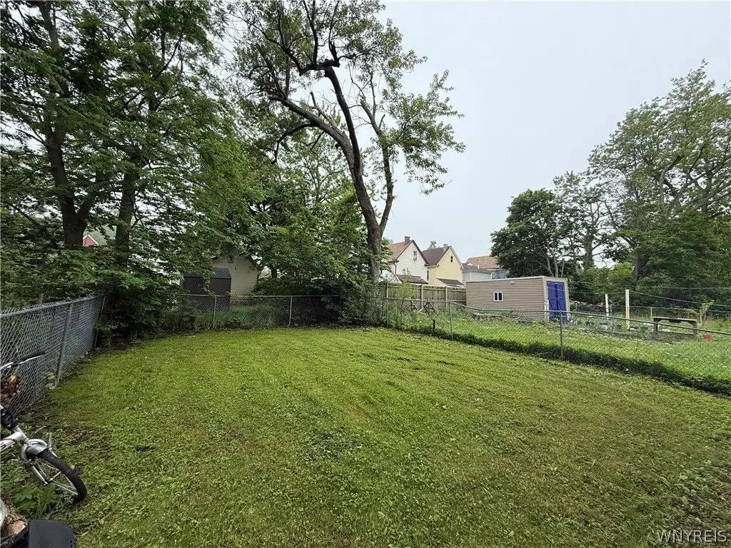 Picture 6
