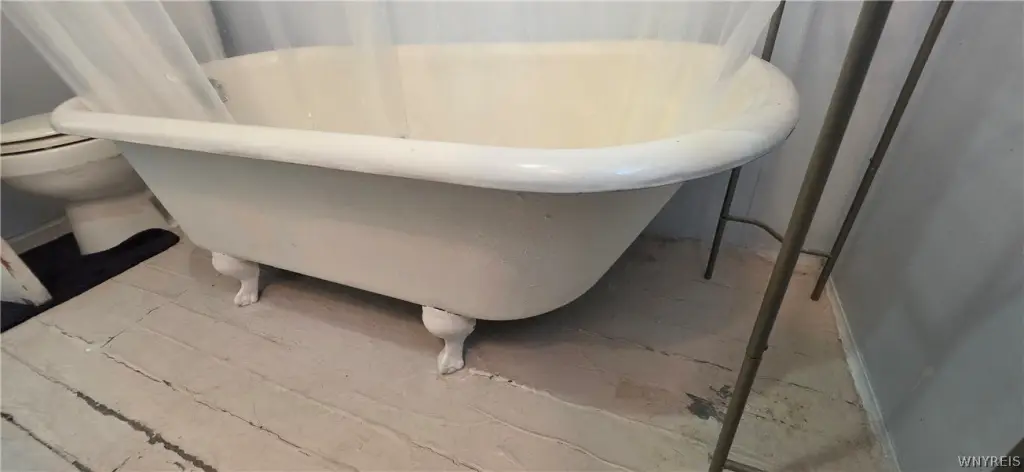 Picture 15