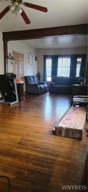 Picture 5